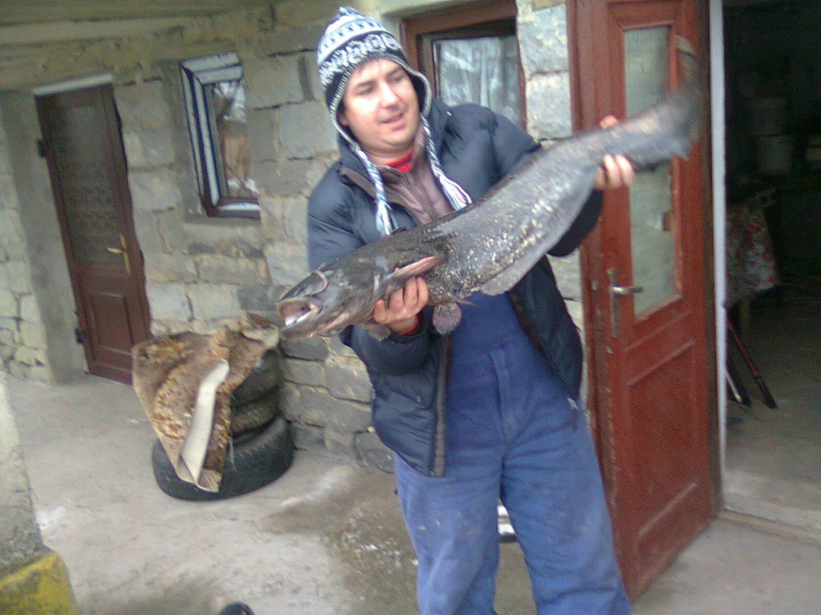 cristi - fotografie00311.jpg